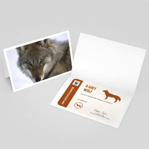 Grey wolf adoption card