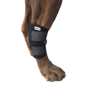 Lightweight Canine Hock Brace