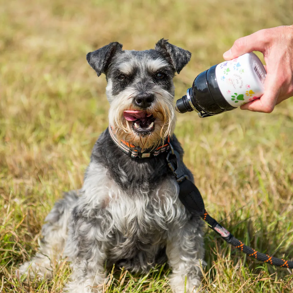 Pet Water Bottle - Paws.