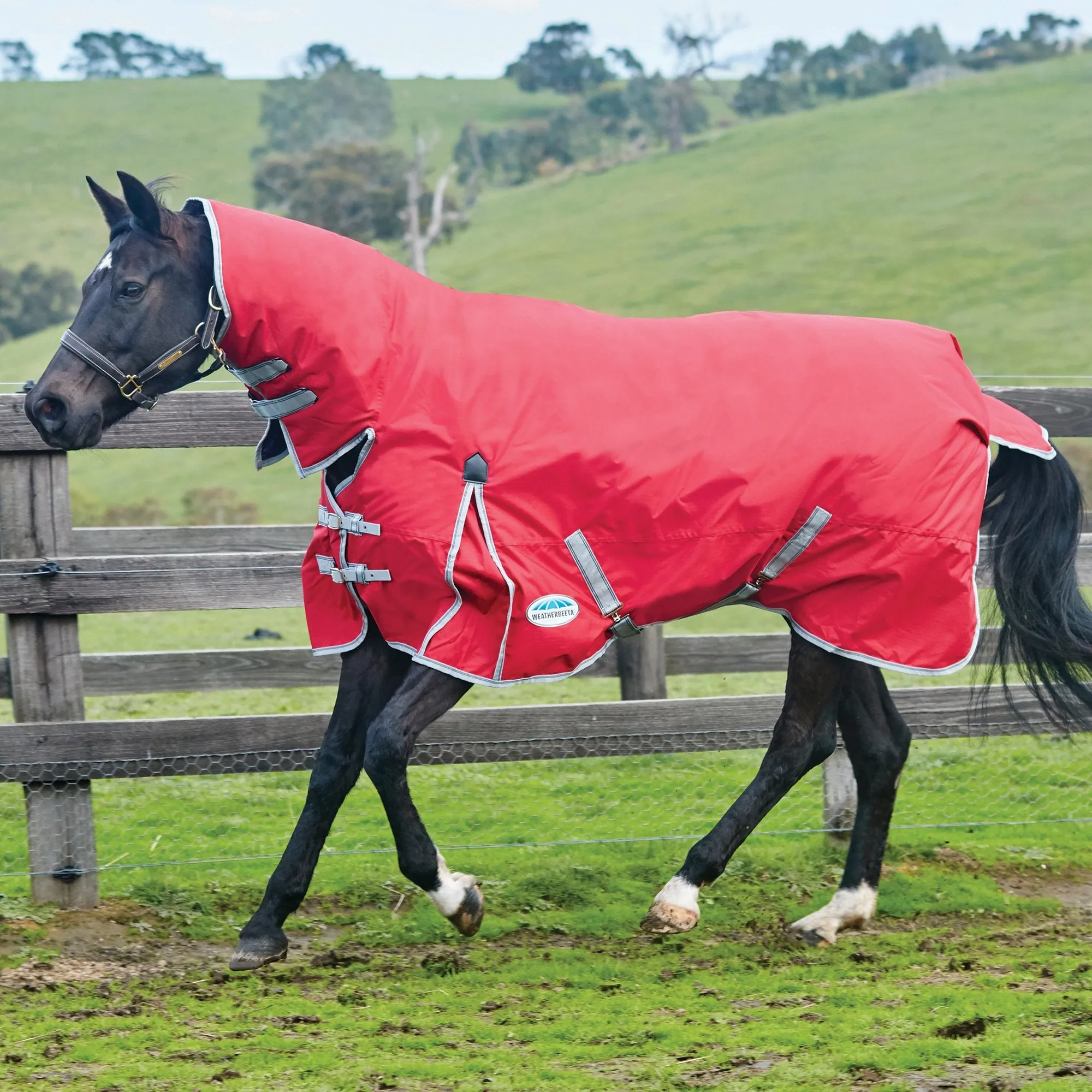 Weatherbeeta Comfitec Classic 0g Combo Lite Turnout Rug